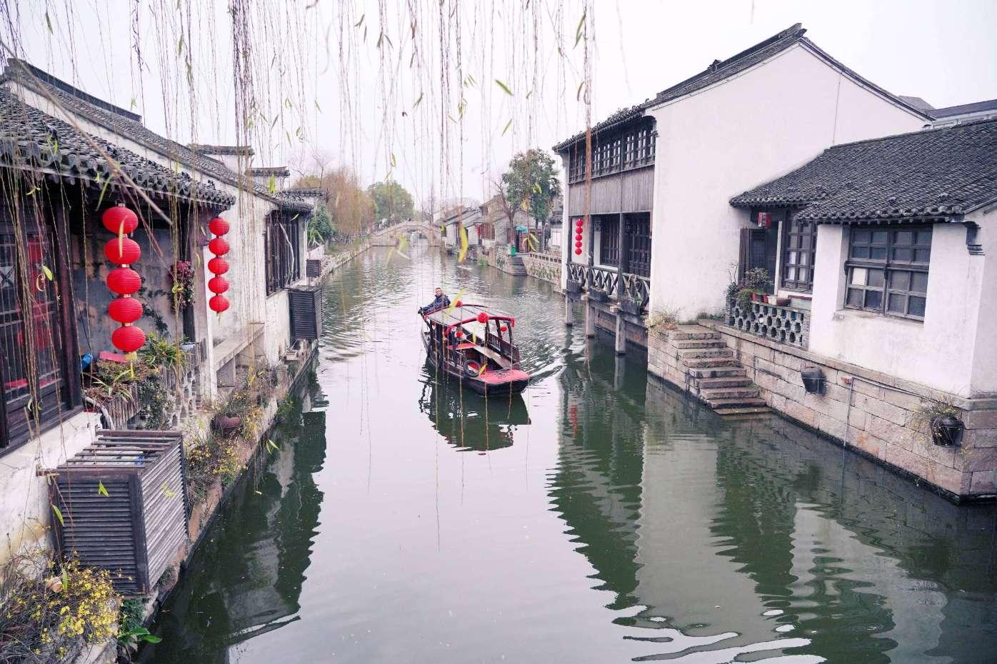 小僵尸射飞鸟